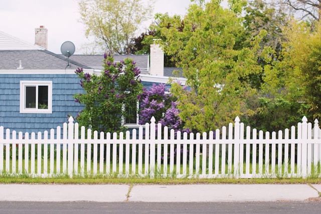Wood Fence